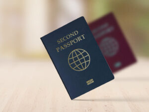 پاسپورت دوم ایالات متحده